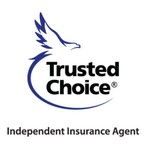 Fort Wayne independent agent